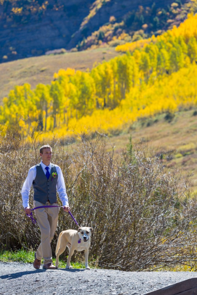 Dog in Colorado Wedding