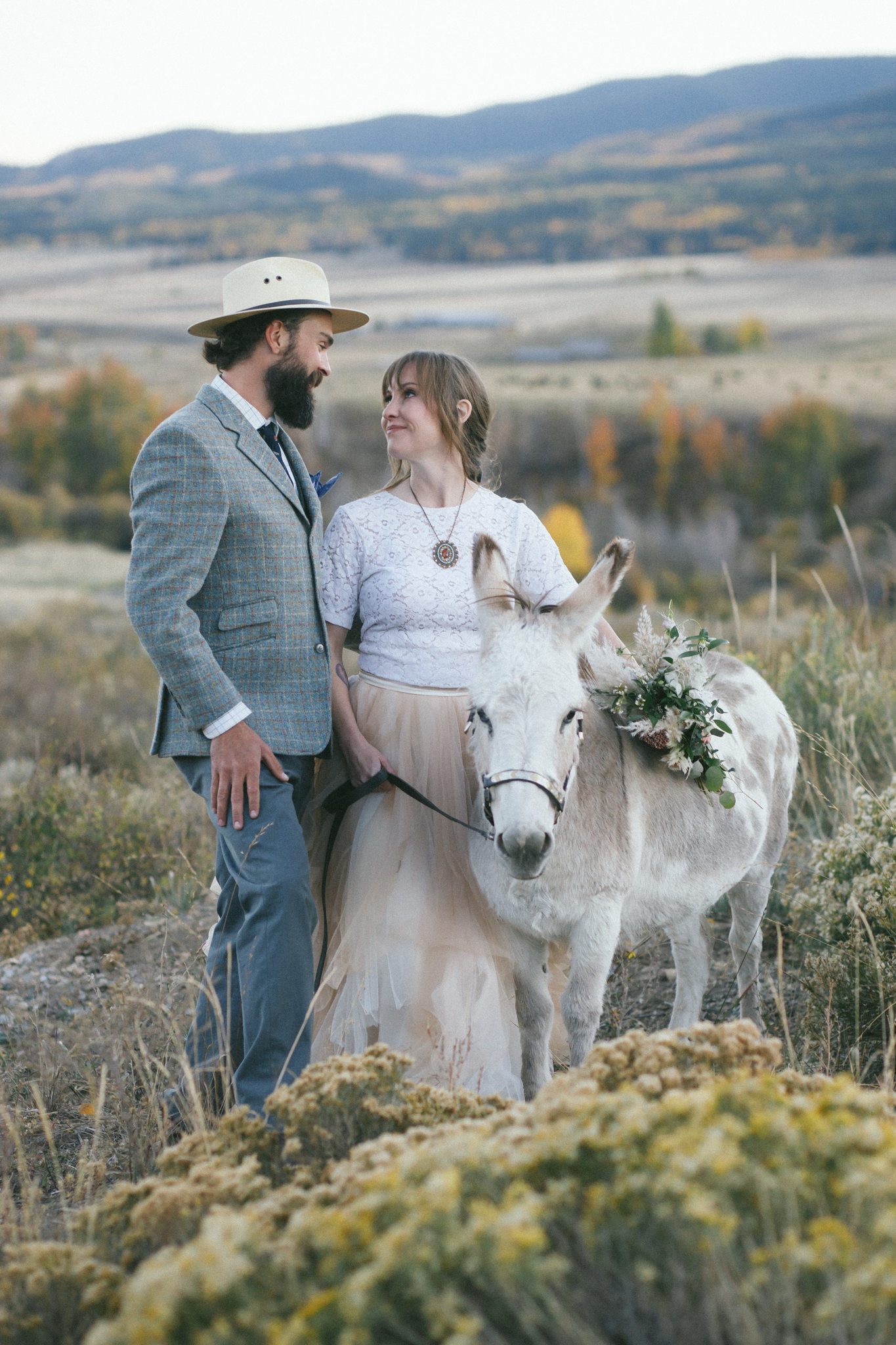 Colorado wedding donkey