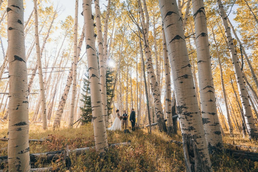 elopement in the Colorado aspen trees