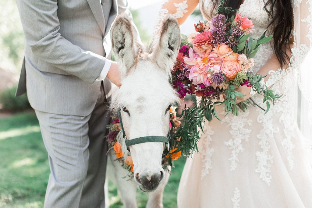Devon + Billy Mountain Wedding Garden donkey with bride and groom