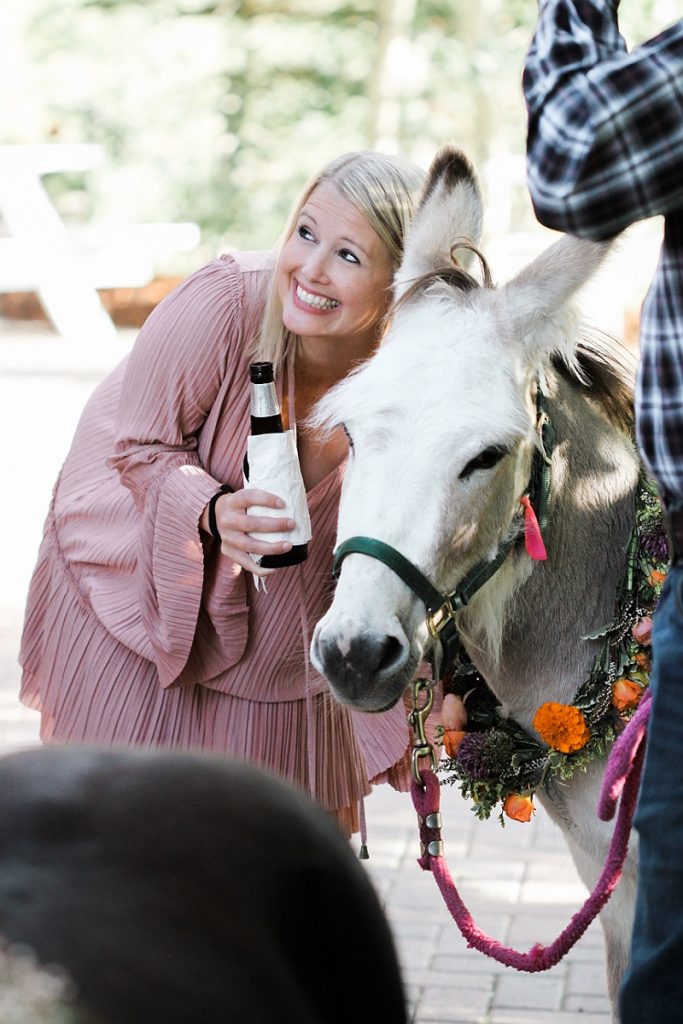 Devon + Billy Mountain Wedding Garden wedding guest with donkey